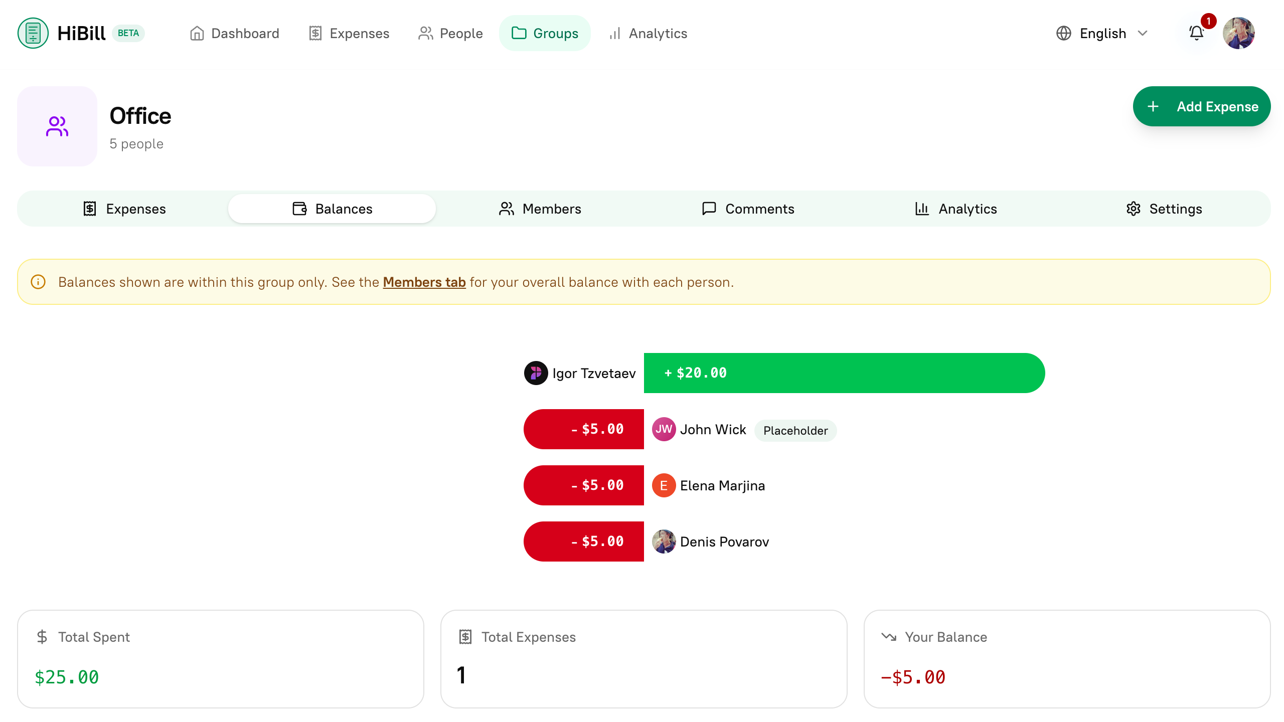 Group view showing members, balances, expenses, and analytics